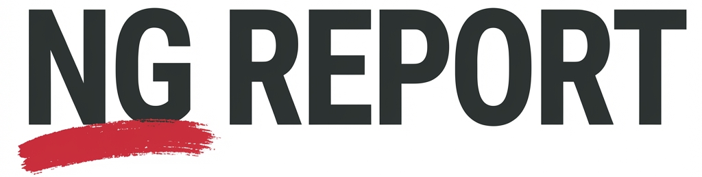 ngreport.cn